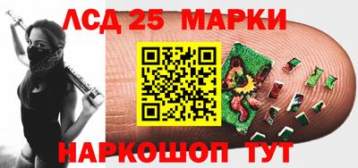 индика Заволжье