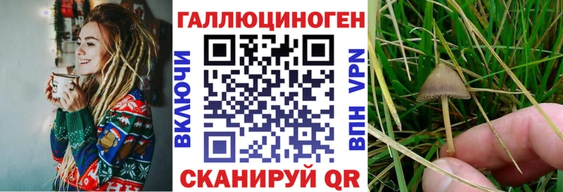 blacksprut зеркало  Набережные Челны  Псилоцибиновые грибы Psilocybine cubensis 