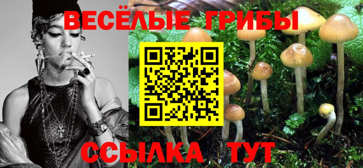 Псилоцибиновые грибы мицелий Набережные Челны
