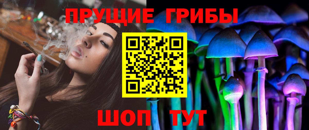 Набережные Челны  Псилоцибиновые грибы Psilocybine cubensis  Вход с VPN 