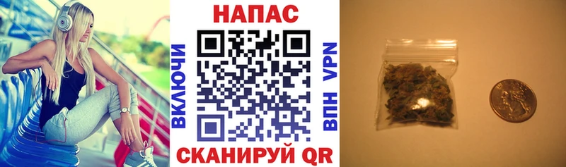 мориарти телеграм  Набережные Челны  Конопля сатива 